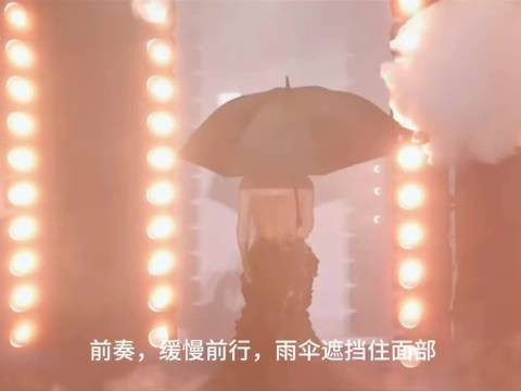 刘亦菲压轴红毯遇大雨，发烧眼炎仍完成49秒定点拍摄