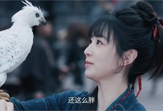 隼：樊长玉，你礼貌吗？ 隼：你们两口子成天不是说我笨就是说我胖