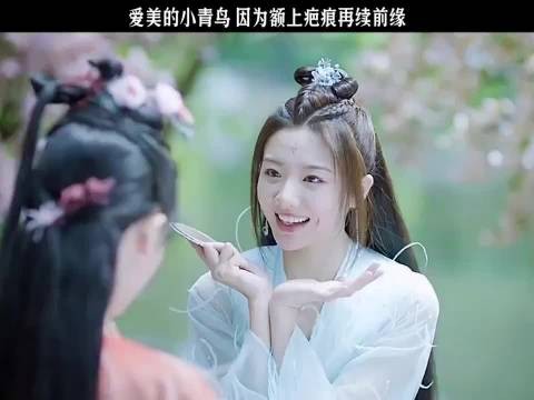 遇龙阁主青青太好嗑了