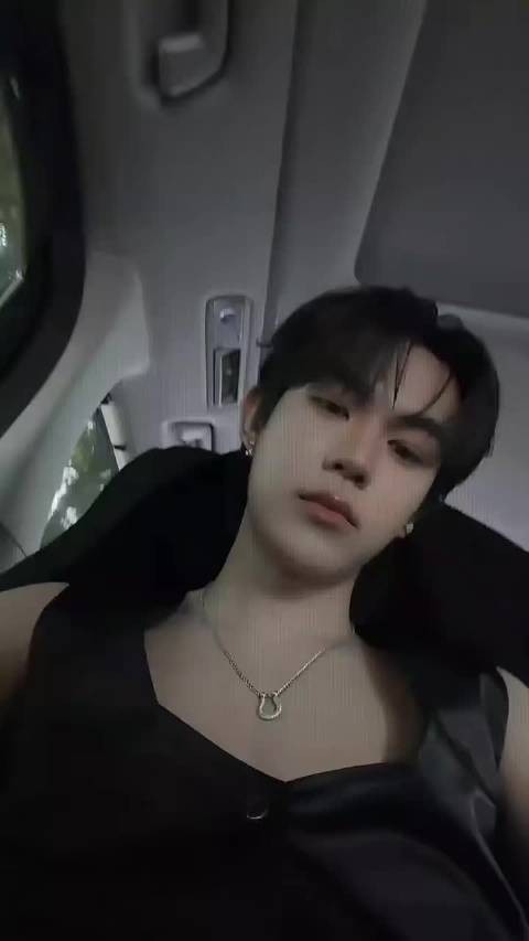 赵锦辛风流矜贵playboy适配引讨论