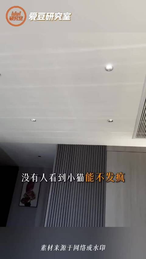想当小田的猫也不是一天两天了