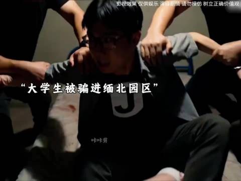 好剧推荐,缅北园区太可怕了