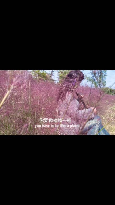 我哪会啊！也觉得这日子过不下去了，后来啊，就一天一天的过