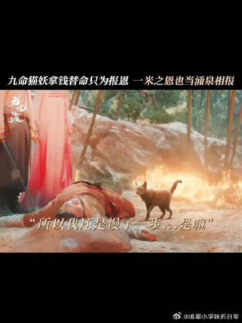 我不知道该怎么帮你，幸好我的命还有“价值”