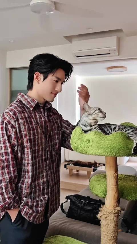 孙政26年10月28日更新视频 第七只猫引猜想