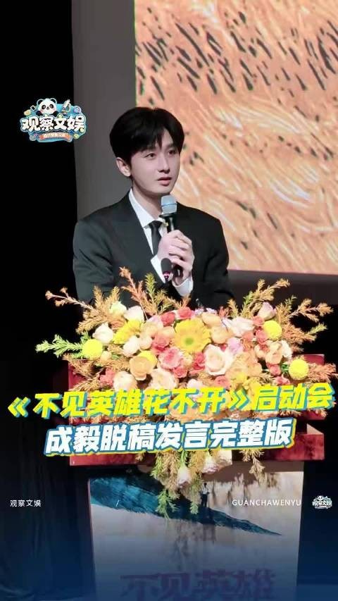 存档,不见英雄花不开研讨会成毅发言