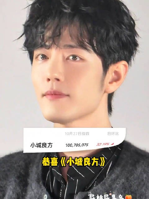 这数据,肖战主演的《小城良方》完完全全的爆剧啊!