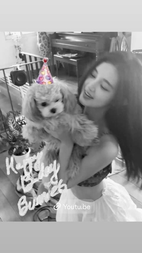 26.10.28 Dazzibelle 快拍 Happy b day bunnies