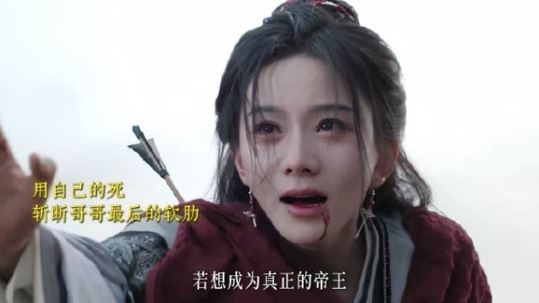 被命运推着走的一生或许拥有了最好的答案