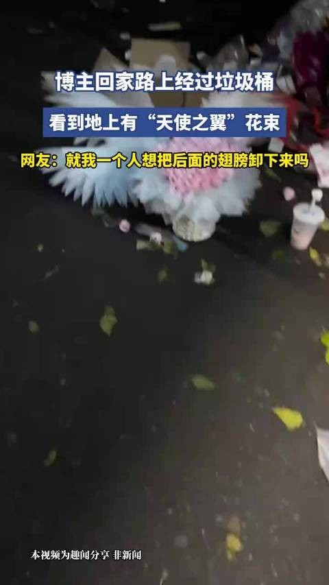 博主回家路过垃圾桶捡到天使之翼花束