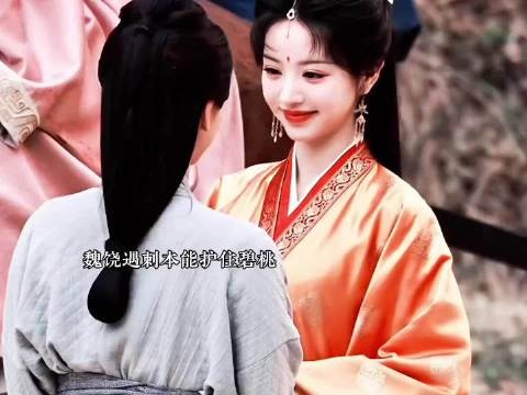 后来碧桃再也没有背叛过她,“这一次我终于护住你了女君” 嫁金钗