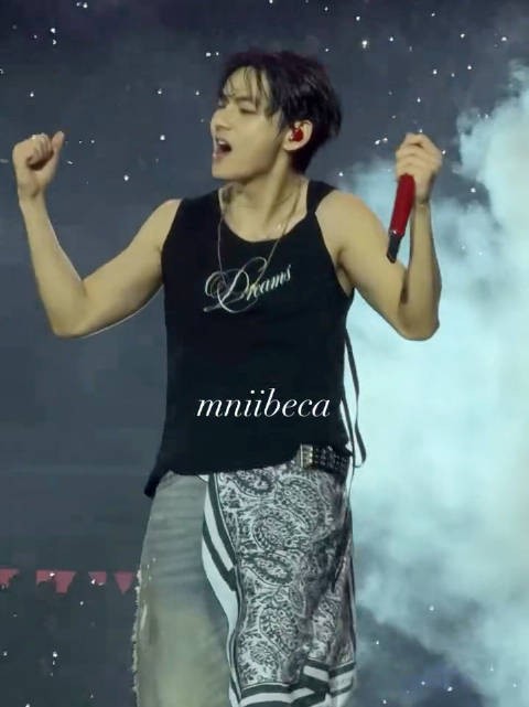 金泰亨kpop永一 261029 | BTS圣保罗演唱会Day1 OMG /mniibeca