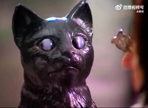 “这胖子没感觉到猫的重量吗？”