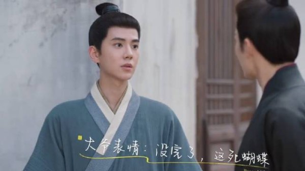 林锦岐每天带鹤和孔雀出门，守韩府门前整理衣装见兰香