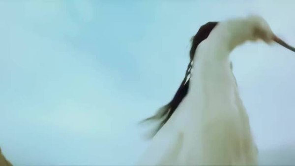 阴柔和娘炮可不是一回事!侠气和阴柔相结合!中国的武侠太赞了!