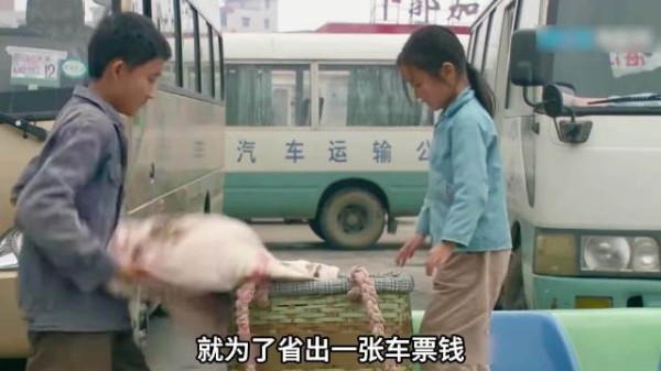 藏妹逃票险些被闷死,千里寻父步步惊心 国产冷门公益老片!
