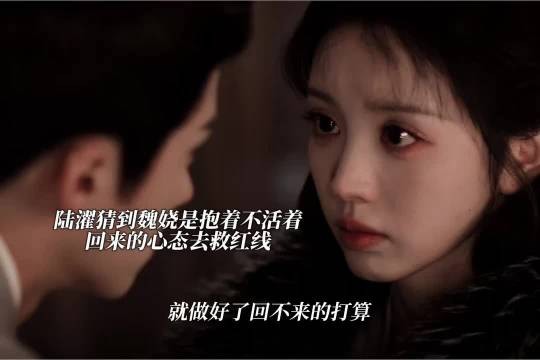 陆濯伤心透了发现魏娆就没有打算活着回来