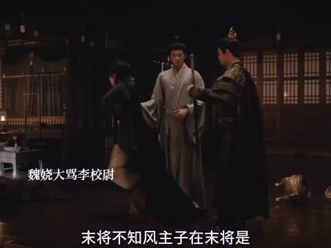 嫁金钗 陆濯救走魏娆，李校尉搜查被夫妻俩混合双打