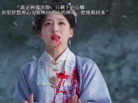 岳望舒以心头血为契盼离止归来终重逢