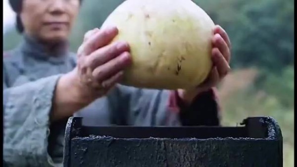 杀手假扮成农妇,将狙击枪藏进拐杖中,殊不知高兴得太早了