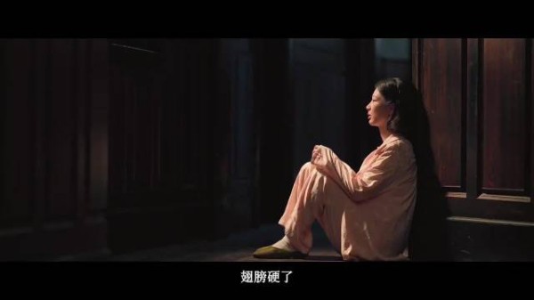 玉兰花开君再来 杨紫的眼神戏太牛,少女时期和中年时间的跨度诠释的很到位!