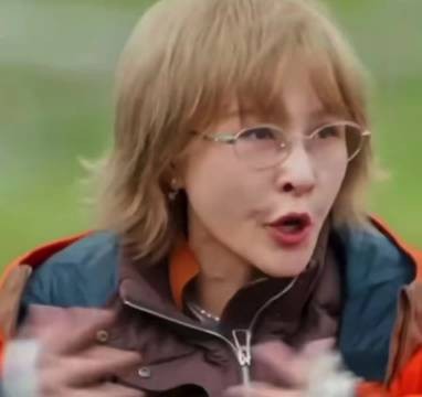 许飞厉娜纠葛比作甄嬛传端妃华妃