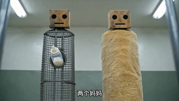 有奶的妈妈它不要,偏死死抱着一块没奶的破布!