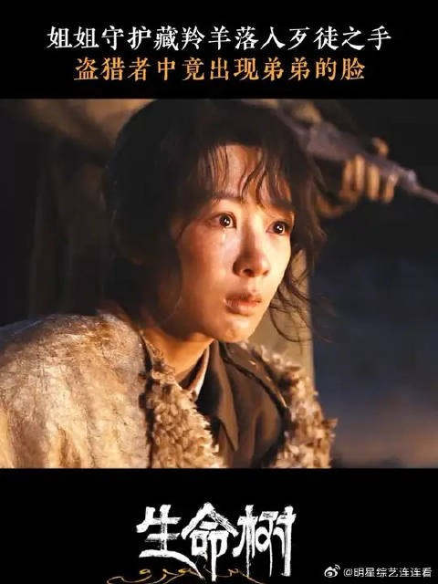 姐姐拼命守护的藏羚羊，竟被弟弟刀刀割开