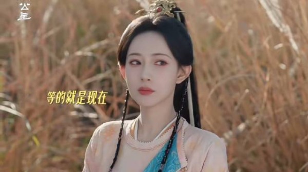 孟子义四年四部女主剧全进拉新年榜