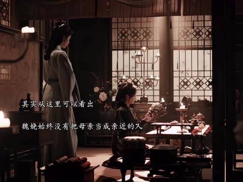 魏娆始终没把母亲当家人警告阿蛮永远别背叛她