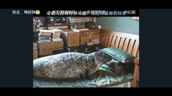 睡一晚上，老爸变成海豹了… 大无语， 这不是惊喜，是惊吓