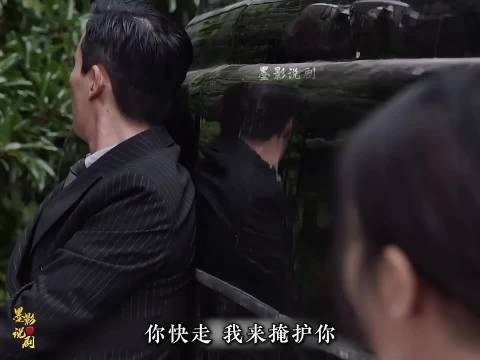 林楠笙回归组织,终于亲眼见证到胜利的曙光