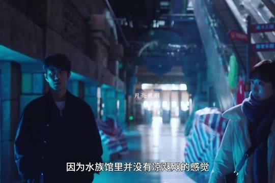 担心水族馆海豹没人管 男子被轰后第二天将其带回家