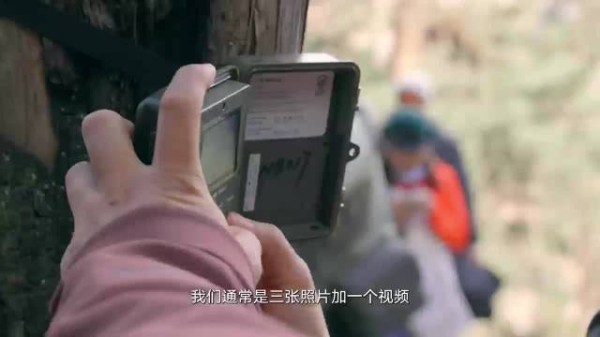 胡歌0帧切换雪豹模式 模拟姿态测算镜头高度