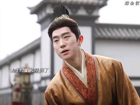 太子找父皇求情,终究被驳回了 嫁金钗