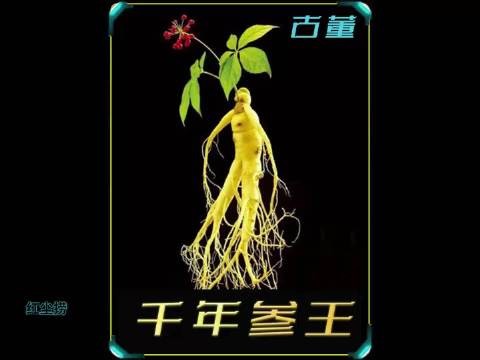 千年参王引发的 局中局套中套